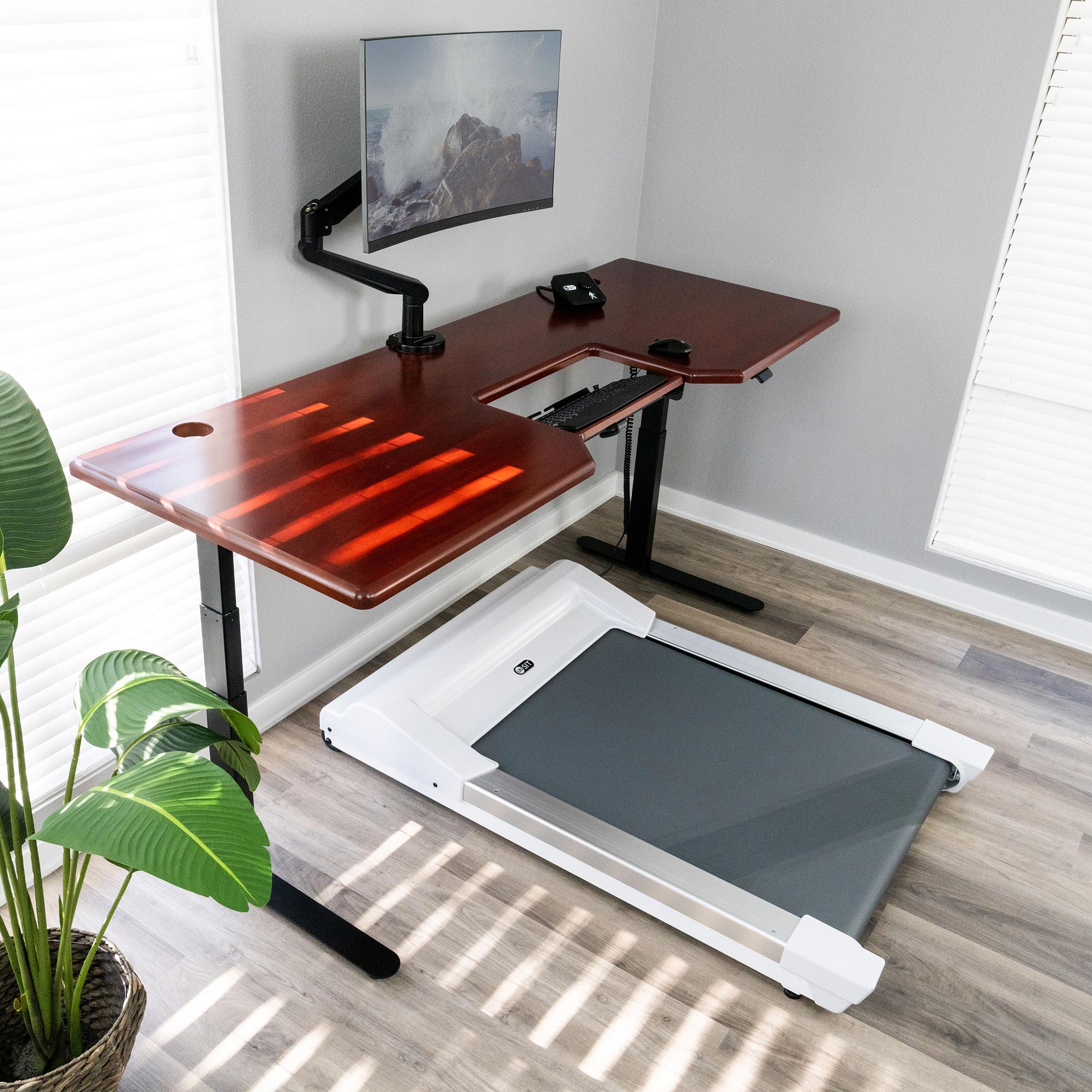 Solid Wood Lander Unsit Treadmill Desk with SteadyType in Regent Cherry on Black Base