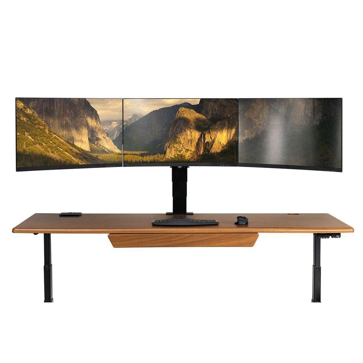 Monitor shops Desk Mount