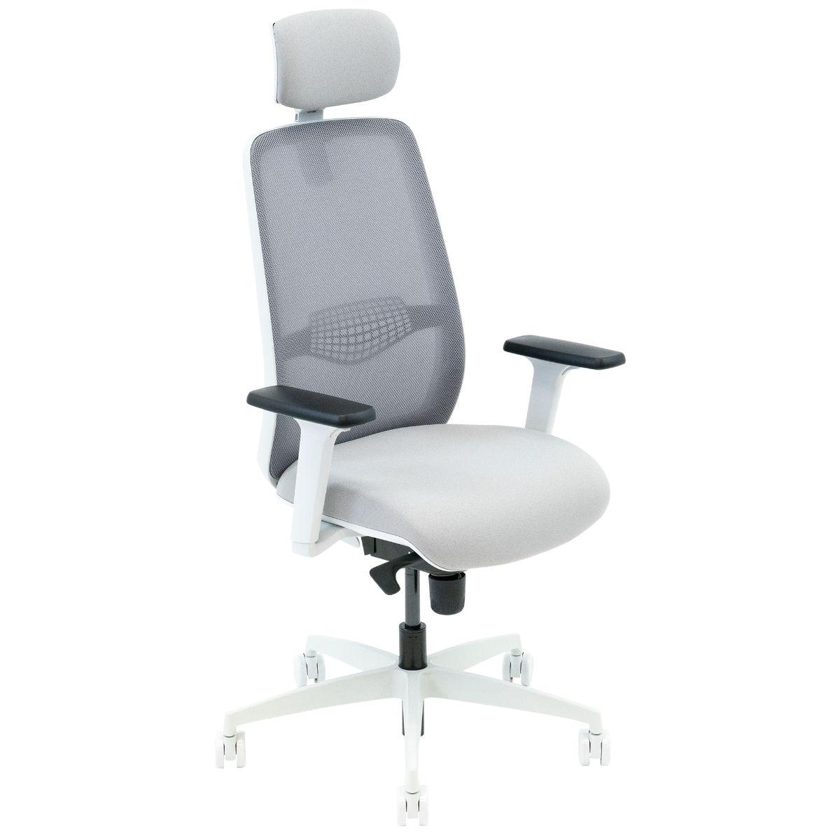 Neemo Ergonomic Chair